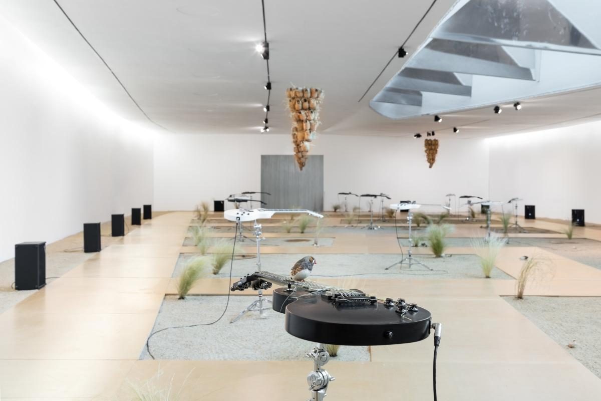 The long view: twenty instruments, one self-composing system, from here to ear v.26 installation, MAAT Lisbon